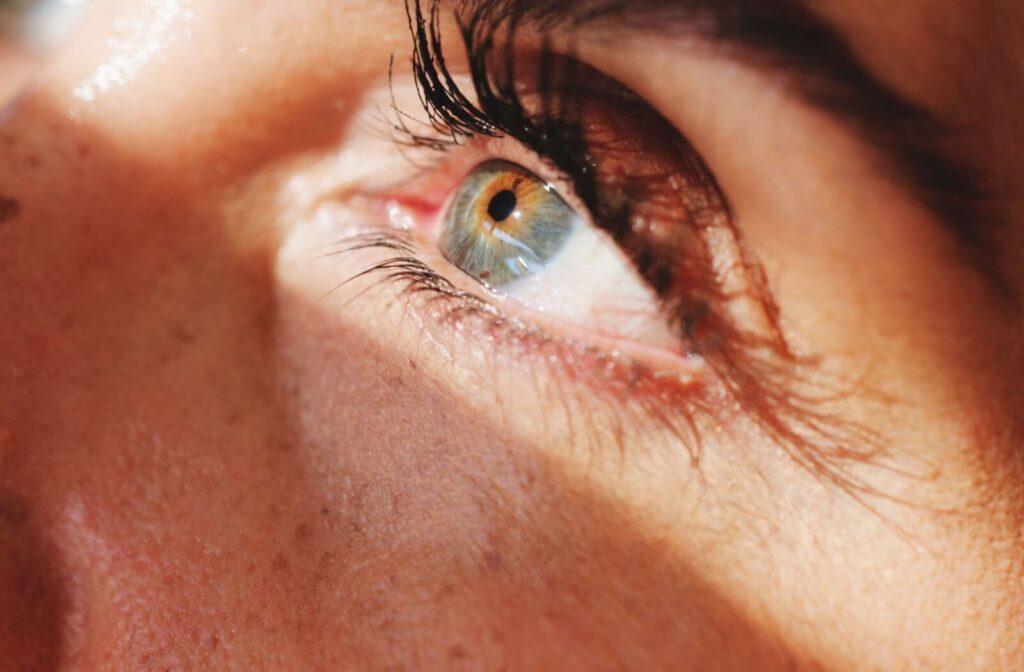 Close-up of a healthy eye with visible iris and eyelashes.